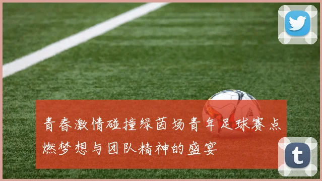 青春激情碰撞绿茵场青年足球赛点燃梦想与团队精神的盛宴