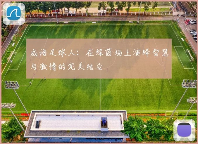 成语足球人：在绿茵场上演绎智慧与激情的完美结合