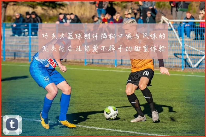 巧克力篮球测评揭秘口感与风味的完美结合让你爱不释手的甜蜜体验