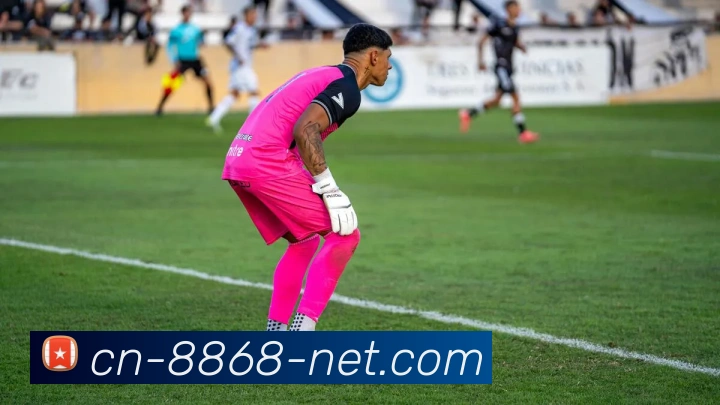 2016欧洲杯足球盛宴回顾：激情四溢的赛场与难忘的瞬间